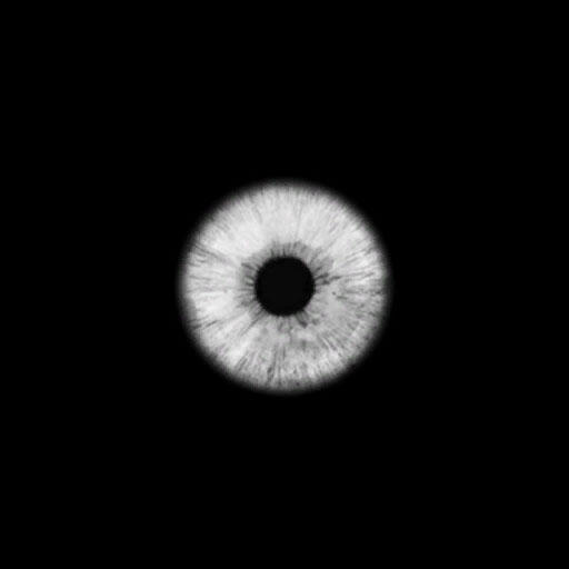 Eye map. This one is pretty basic. I'd personally separate the pupil area, introduce highlight, and make both customizable.